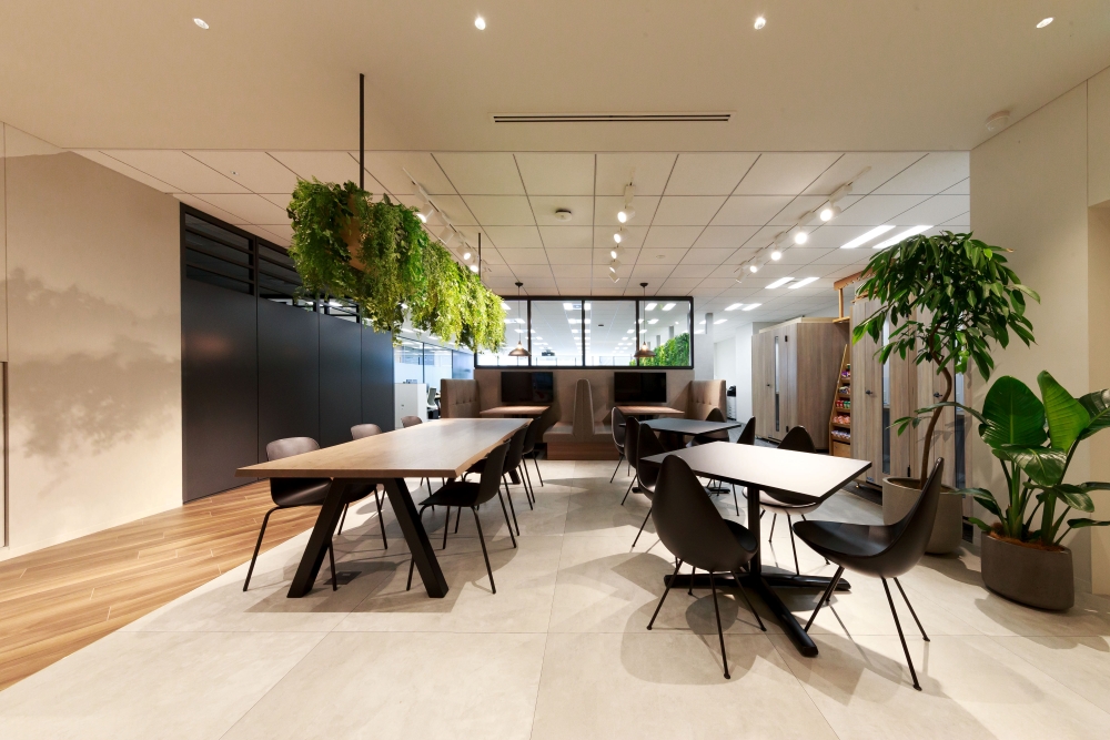 ReLeaf Workspace