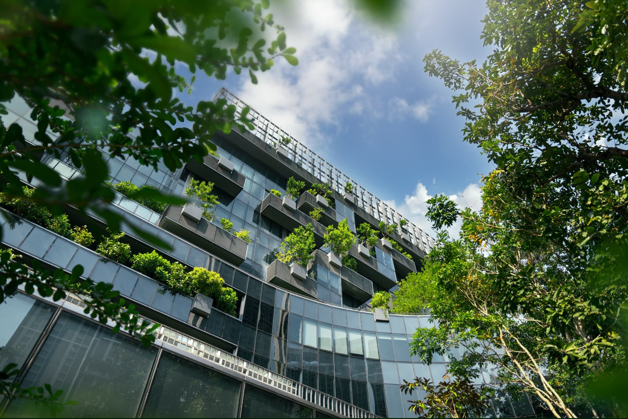 オフィス緑化で業務効率化を目指そう！設置方法とポイントを紹介